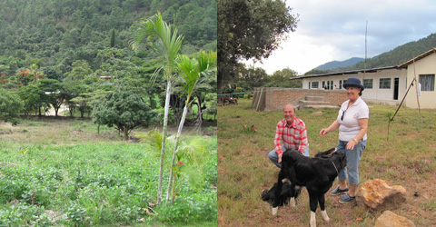 Inauguración Finca de San Antonio